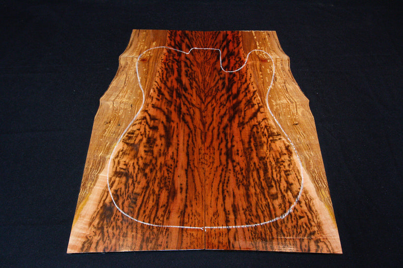 Tasmanian Tiger Myrtle - Electric Guitar Drop Tops