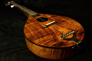 Banjo made of Tasmanian Acoustic tonewood