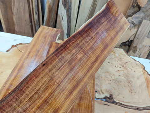 Tasmanian Blackwood Acoustic Guitar Kit