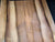 Tasmanian Blackheart Sassafras Acoustic Guitar Tonewood