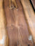 Tasmanian Blackheart Sassafras Weissenborn Guitar Kit