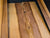 Tasmanian Blackheart Sassafras Weissenborn Guitar Kit