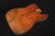 Telecaster Body
