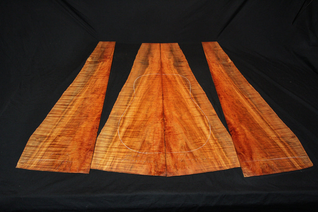 Tasmanian Flame Myrtle - Acoustic Guitar Tonewood Kit