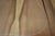 Tasmanian Blackheart Sassafras Acoustic Guitar Tonewood