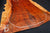 Tasmanian Tiger Myrtle Electric Guitar Drop Top
