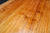 Tasmanian Blackwood Acoustic Guitar Kit
