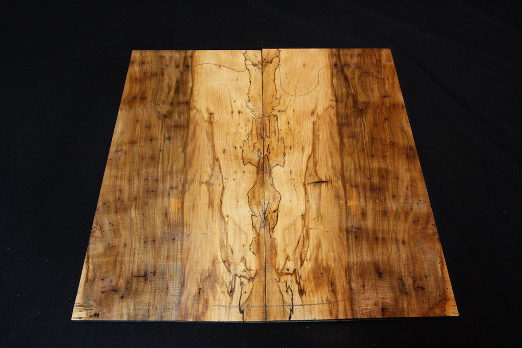 Tasmanian Blackheart Sassafras Electric Guitar Drop Top